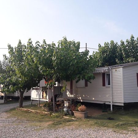 Sant Feliu de Buixalleu Camping Vila Village מראה חיצוני תמונה