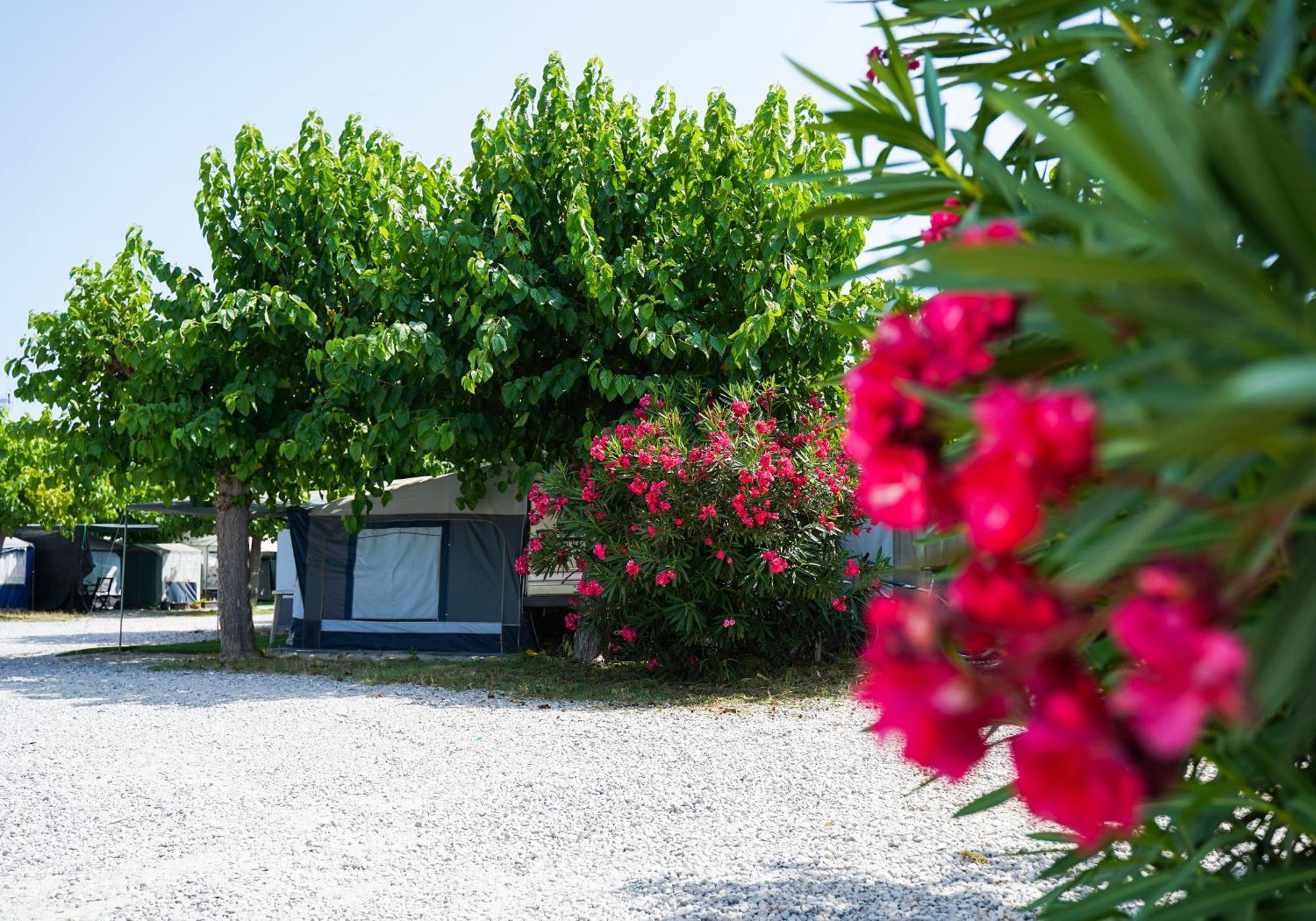 Sant Feliu de Buixalleu Camping Vila Village מראה חיצוני תמונה